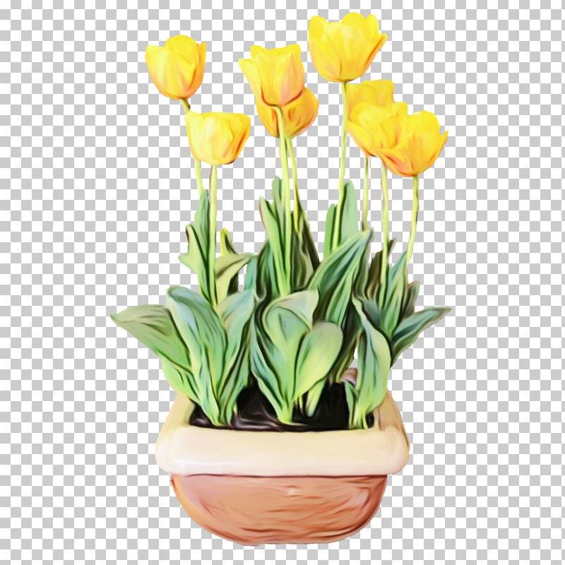 Flower Tulip Plant Flowerpot Yellow PNG, Clipart, Cut Flowers, Flower, Flowerpot, Houseplant, Lady Tulip Free PNG Download