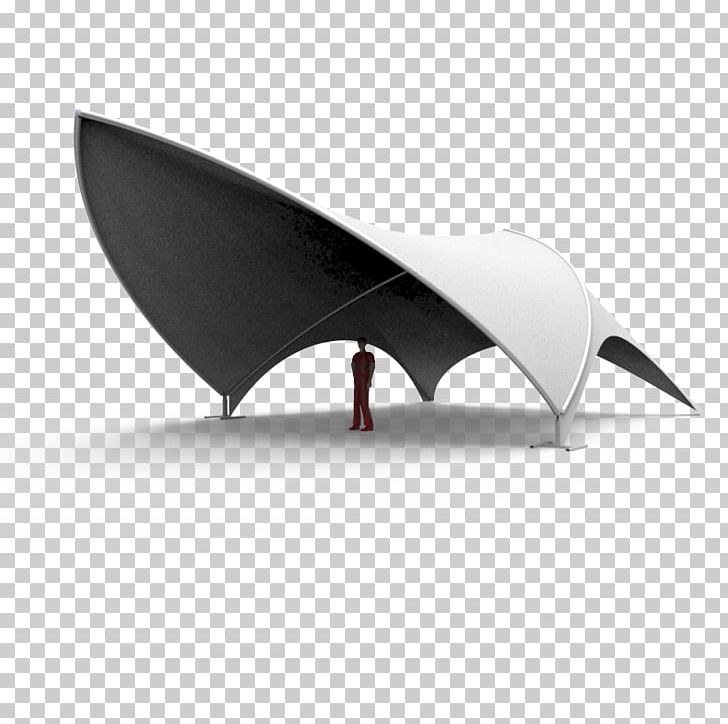 Angle PNG, Clipart, Angle, Art, Fin, Halva, Wing Free PNG Download