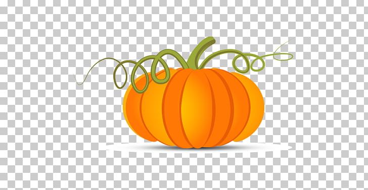 Pumpkin PNG, Clipart, Calabaza, Computer Wallpaper, Cucurbita, Cucurbita Pepo, Fruit Free PNG Download