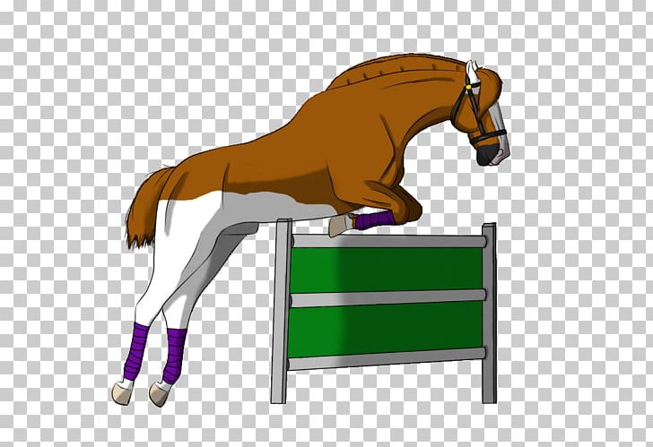 Stallion Show Jumping Mustang Rein Mane PNG, Clipart, Angle, Bit, Bridle, Cartoon, English Riding Free PNG Download