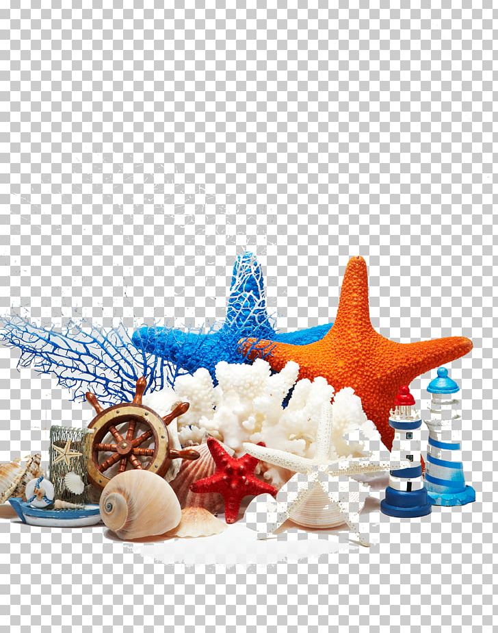 Beach Sea PNG, Clipart, Advertising, Beach, Beach Elements, Cartoon Conch, Conch Free PNG Download