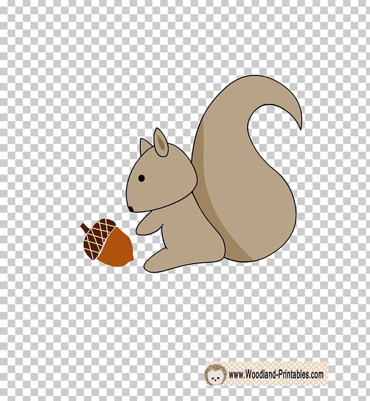 Cat Squirrel Wall Decal Paper PNG, Clipart, Animal, Canidae, Carnivoran, Cartoon, Cat Free PNG Download