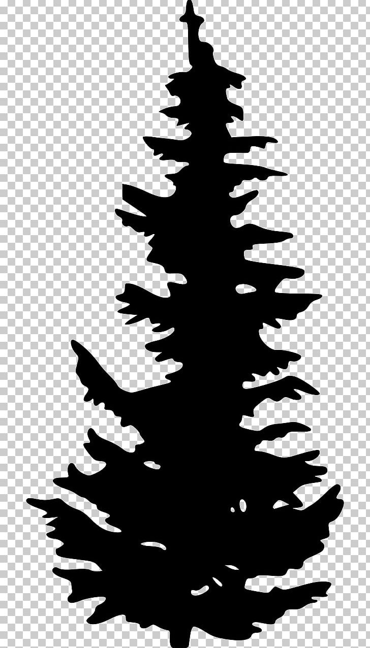 Evergreen Silhouette Tree Pine PNG, Clipart, Animals, Art, Black And White, Branch, Christmas Decoration Free PNG Download