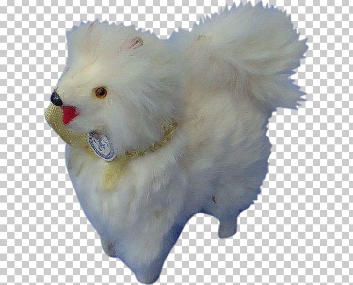 Pomeranian Samoyed Dog Dog Breed Snout Fur PNG, Clipart, Breed, Carnivoran, Dog, Dog Breed, Dog Breed Group Free PNG Download