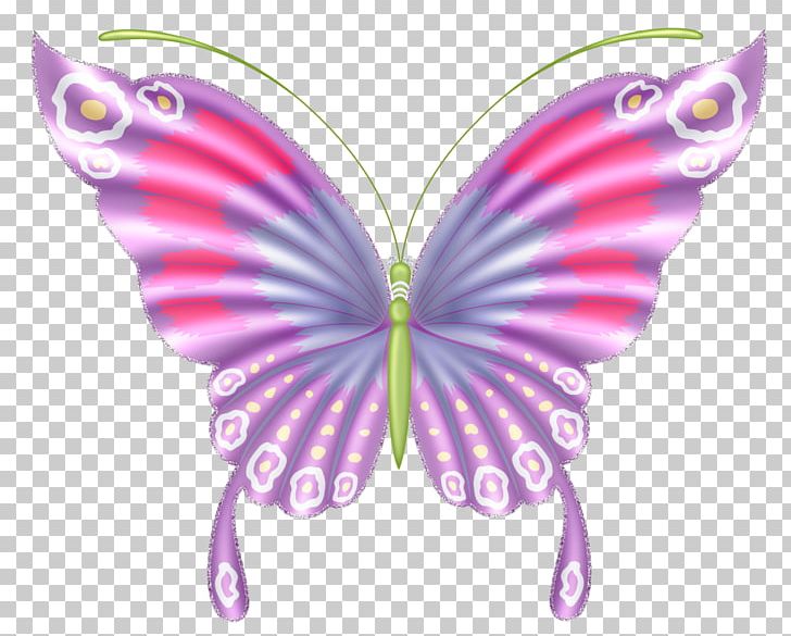 Butterfly Moth Insect PNG, Clipart, Arthropod, Brush Footed Butterfly, Butterflies And Moths, Butterfly, Caterpillar Free PNG Download