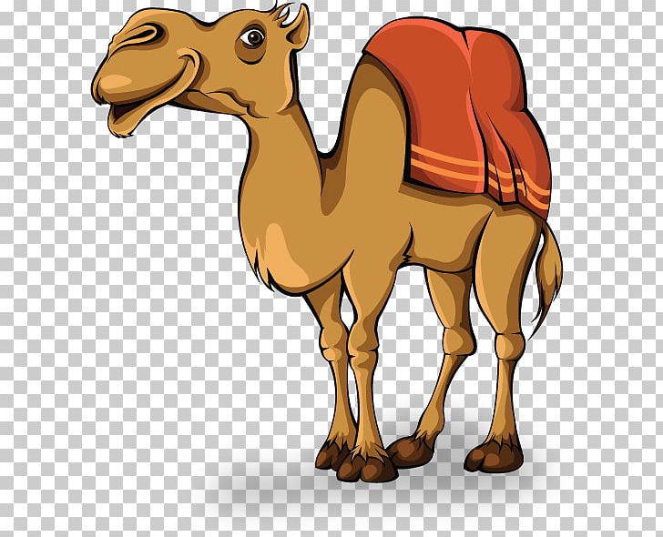 Camel Animation PNG, Clipart, Animals, Animation, Arabian Camel, Beak, Camel  Free PNG Download