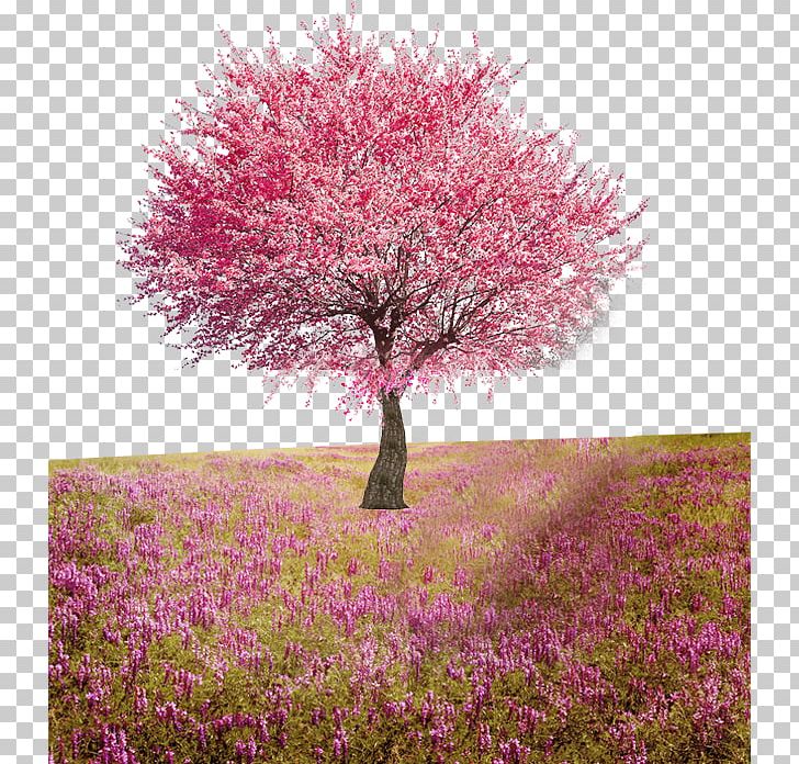 Flower Tree Computer File PNG, Clipart, Blossom, Cherry Blossom, Computer File, Computer Wallpaper, Decorative Background Free PNG Download