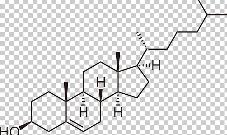 Molecule Amphiphile Cholesterol Lipid Bilayer PNG, Clipart, Amphiphile, Angle, Area, Biochemistry, Biological Membrane Free PNG Download