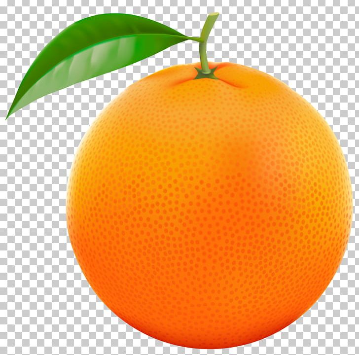 Orange PNG, Clipart, Bitter Orange, Citric Acid, Citrus, Clementine, Clip Art Free PNG Download