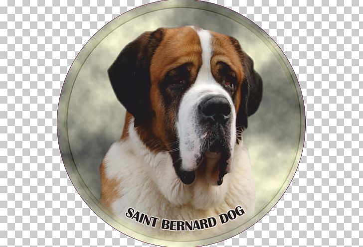 St. Bernard Dog Breed Rottweiler Puppy PNG, Clipart, Animals, Blog, Breed, Carnivoran, Dog Free PNG Download
