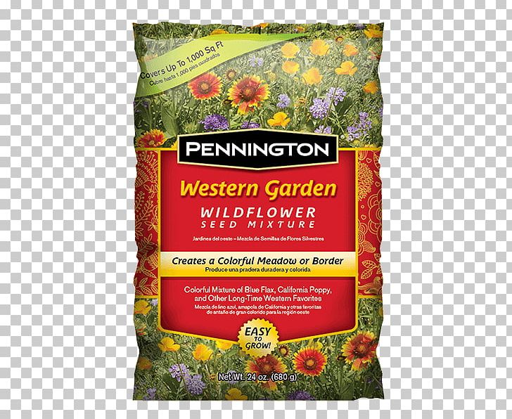 Wildflower Garden Seed Lawn Perennial Ryegrass PNG, Clipart,  Free PNG Download