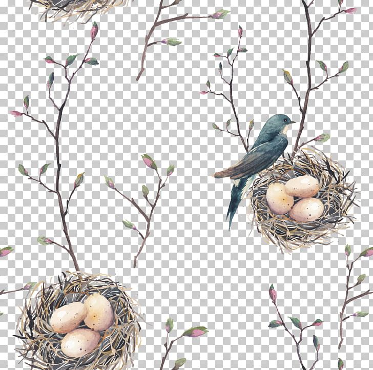 Bird Nest Swallow Tree Pattern PNG, Clipart, Animals, Balloon Cartoon, Bir, Bird, Bird Cage Free PNG Download