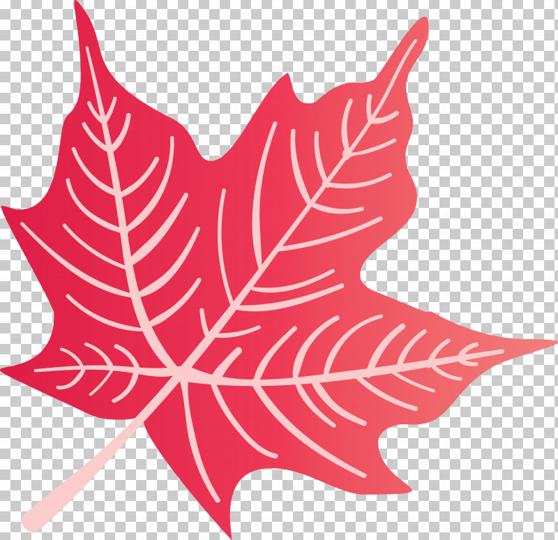 Autumn Leaf Colourful Foliage Colorful Leaves PNG, Clipart, Autumn Leaf, Biology, Colorful Leaf, Colorful Leaves, Colourful Foliage Free PNG Download