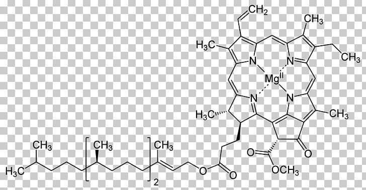Chlorophyll A Chlorophyll B Structure Chlorophyll F PNG, Clipart, Angle, Area, Auto Part, Biological Pigment, Black And White Free PNG Download
