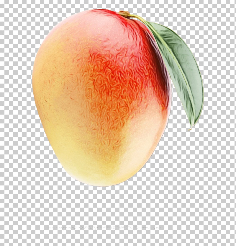 Peach Apple PNG, Clipart, Apple, Paint, Peach, Watercolor, Wet Ink Free PNG Download