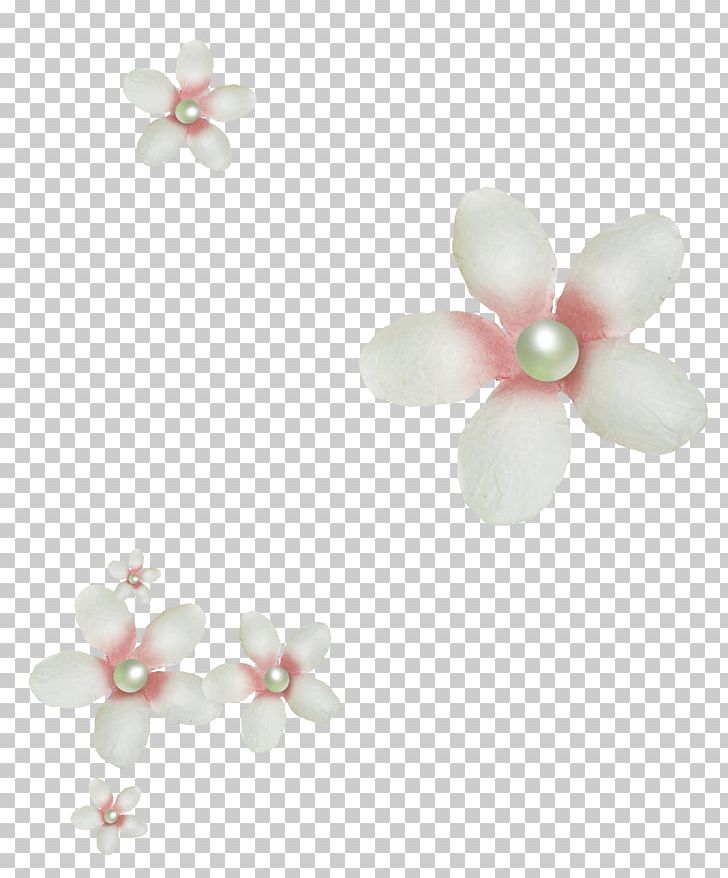 Petal Flower PNG, Clipart, Animated Film, Blossom, Body Jewellery, Body ...