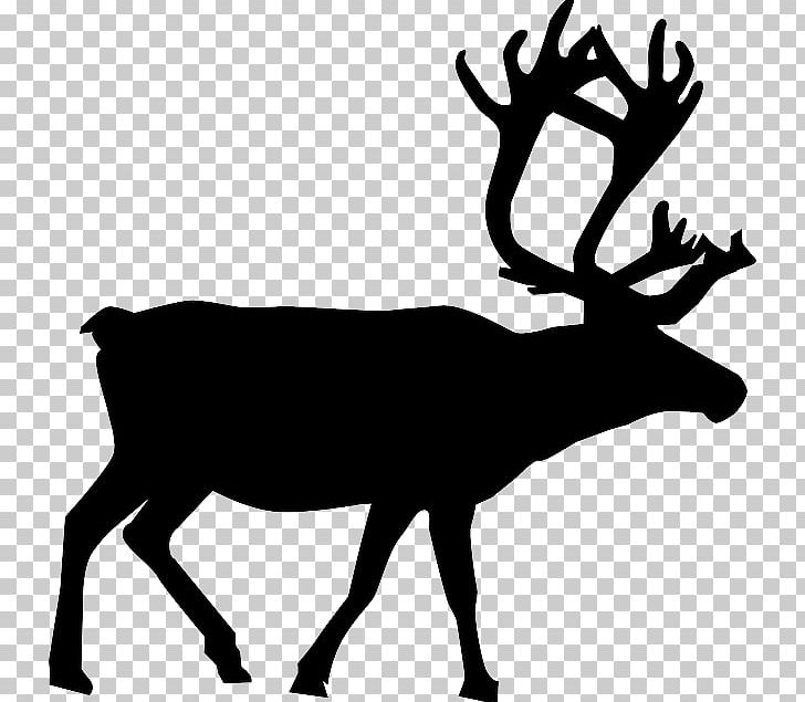 Reindeer Rudolph PNG, Clipart, Animals, Antler, Black And White, Christmas, Deer Free PNG Download