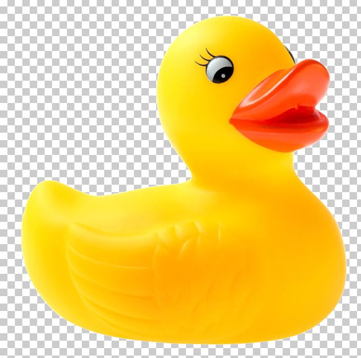 Rubber Duck National Toy Hall Of Fame Natural Rubber PNG, Clipart, Animals, Beak, Bird, Child, Clip Art Free PNG Download