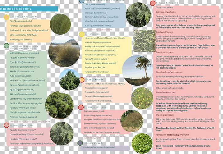 Brochure PNG, Clipart, Brochure, Others, Waitangi Free PNG Download