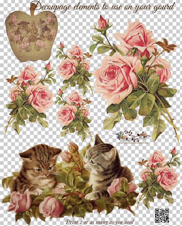 Cabbage Rose Garden Roses Paper Decoupage Pink PNG, Clipart, Antique, Art, Cabbage Rose, Cat, Collage Free PNG Download