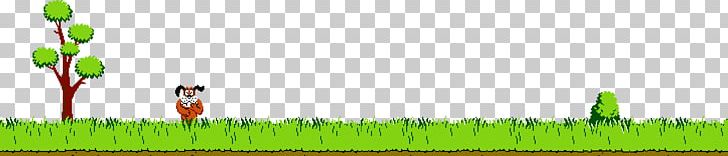 Grasses Grassland Biome Plant Stem Lawn PNG, Clipart, Agriculture, Biome, Cartoon Duck, Commodity, Computer Free PNG Download