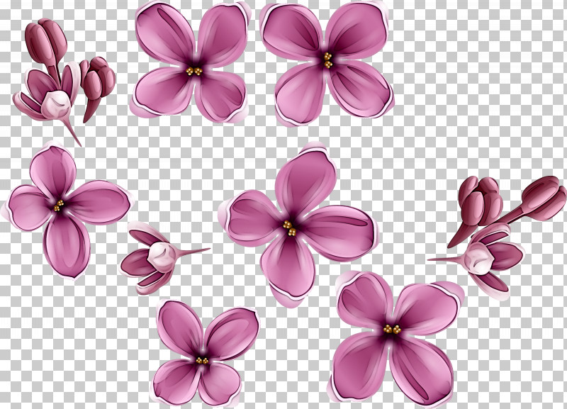 Petal Pink Flower Lilac Plant PNG, Clipart, Blossom, Cut Flowers, Flower, Impatiens, Lilac Free PNG Download