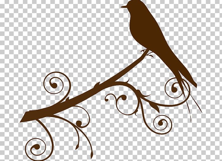 Bird Branch PNG, Clipart, Artwork, Beak, Bird, Branch, Download Free PNG Download
