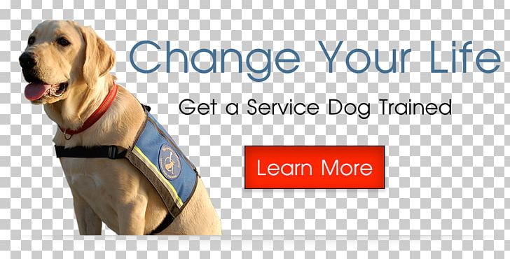 Dog Breed Service Dog Puppy Leash PNG, Clipart, 2016, 2018, Advertising, Animals, Brand Free PNG Download