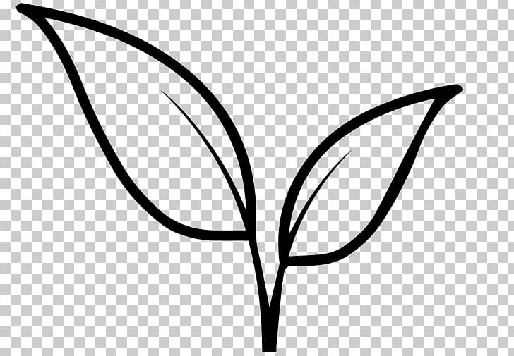 Drawing Leaf Coloring Book Brand PNG, Clipart, Aquatic, Area, Art Line, Artwork, Black And White Free PNG Download