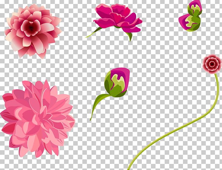 Flower Euclidean Adobe Illustrator PNG, Clipart, Color, Dahlia, Decorative Pattern, Decorative Patterns, Design Free PNG Download