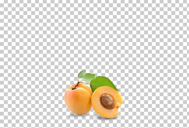 Nectar Apricot Kernel Noyau Fruit Preserves PNG, Clipart, Amygdalin, Apricot, Apricot Kernel, Cherry, Compote Free PNG Download