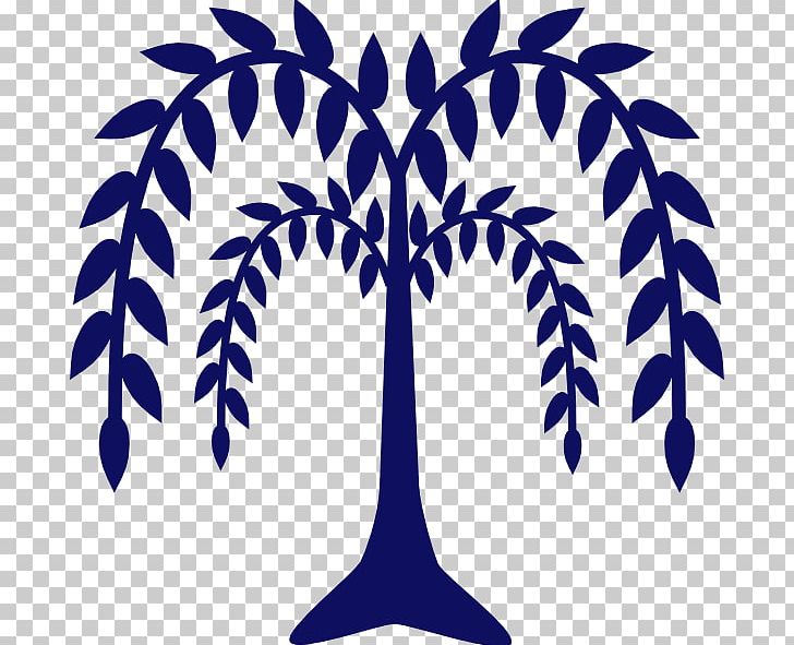 Weeping Willow Drawing PNG, Clipart, Art, Artwork, Clip Art, Drawing, Leaf Free PNG Download