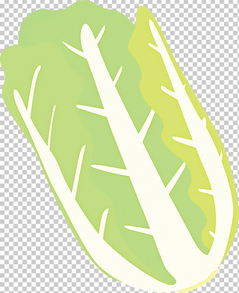 Nappa Cabbage PNG, Clipart, Green, Nappa Cabbage Free PNG Download