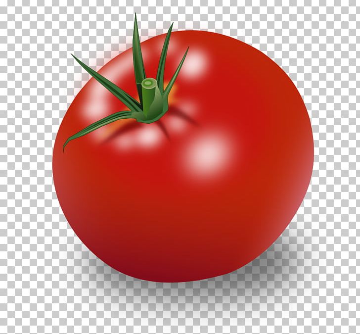 Cherry Tomato Vegetable PNG, Clipart, Apple, Bush Tomato, Cherry Tomato, Computer Icons, Diet Food Free PNG Download