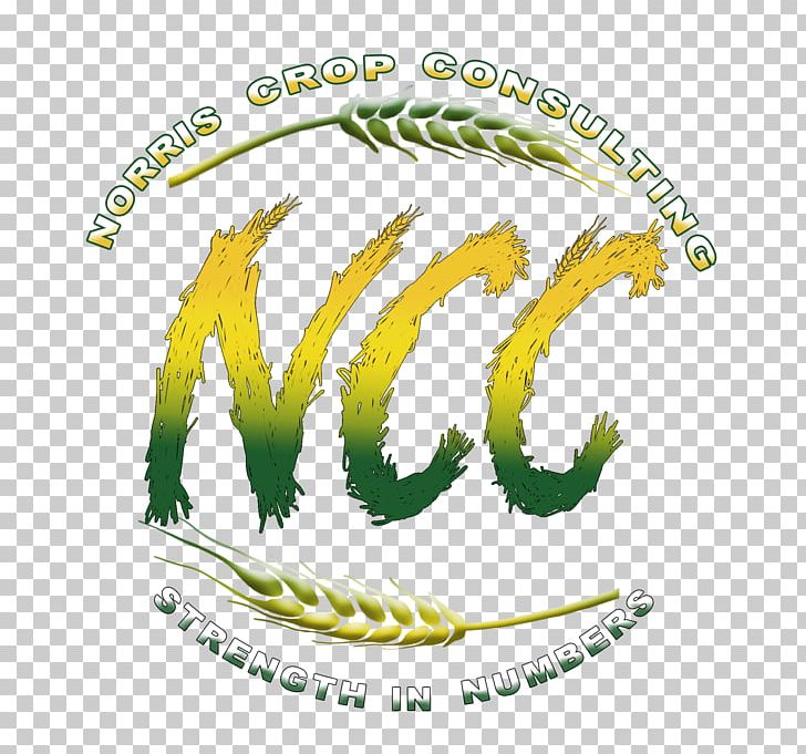 Consultant Crop Marketing Consulting Firm Farm PNG, Clipart, Brand, Cereal, Commodity, Consultant, Consulting Firm Free PNG Download