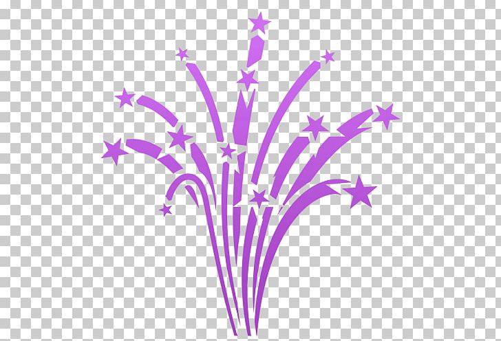 Graphics Fireworks Illustration PNG, Clipart, Bando, Branch, Computer Icons, Encapsulated Postscript, Ews Free PNG Download
