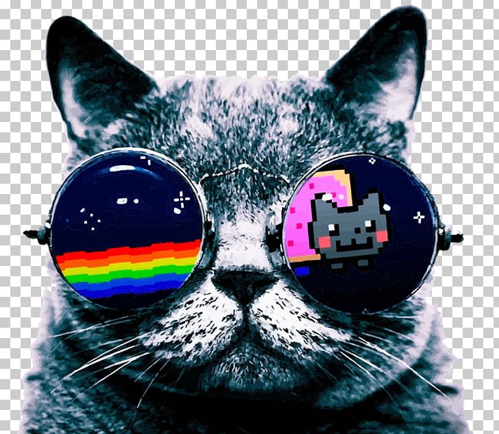 Nyan Cat YouTube Desktop PNG, Clipart, Animals, Art, Artist, Black Cat, Cat Free PNG Download