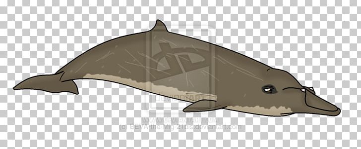 Porpoise Dolphin Blainville's Beaked Whale Spade-toothed Whale Cetaceans PNG, Clipart,  Free PNG Download