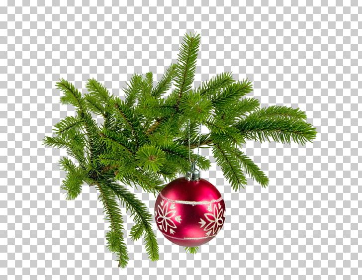 Christmas Bombka Fir Au Chant Des Oiseaux PNG, Clipart, Bombka, Branch, Christmas, Christmas Decoration, Christmas Ornament Free PNG Download