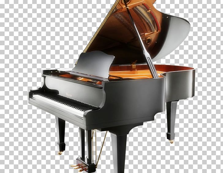 Fortepiano Euphony Musical Musical Instruments Digital Piano PNG, Clipart, Concert, Digital Piano, Felt, Fortepiano, Grand Piano Free PNG Download