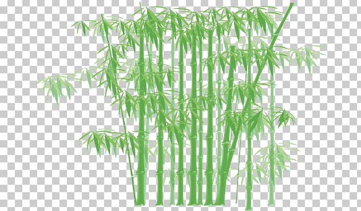Tropical Woody Bamboos Giant Timber Bamboo PNG, Clipart, Bamboo, Bamboo Painting, Bambu, Description, Drawing Free PNG Download