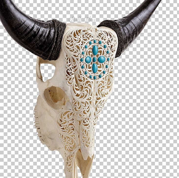 XL Horns Cattle Skull Neck PNG, Clipart, Animal, Balinese People, Cattle, Color, Cow Skull Free PNG Download