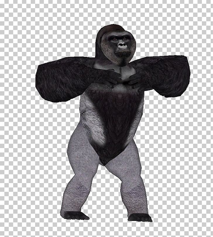 Harambe Desktop Gorilla PNG, Clipart, Arm, Art, Background Check, Character, Costume Free PNG Download