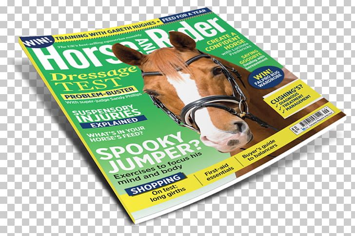 Horse&Rider Equestrian Snout Magazine PNG, Clipart, Advertising, Brand, Door, Equestrian, Fear Free PNG Download