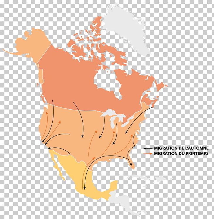 United States Map PNG, Clipart, Americas, Graphic Design, Hand, Map, North America Free PNG Download