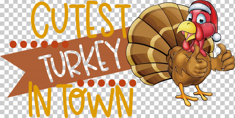 Cutest Turkey Thanksgiving Turkey PNG, Clipart, Beak, Biology, Cartoon, Landfowl, Meter Free PNG Download