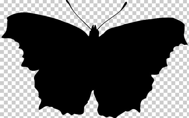 Butterfly Silhouette PNG, Clipart, Black, Black And White, Brush Footed Butterfly, Butterfly, Butterfly Silhouette Free PNG Download