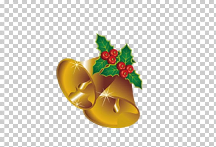 Christmas Ornament Fruit PNG, Clipart, Alarm Bell, Bell, Belle, Bell Pepper, Bells Free PNG Download
