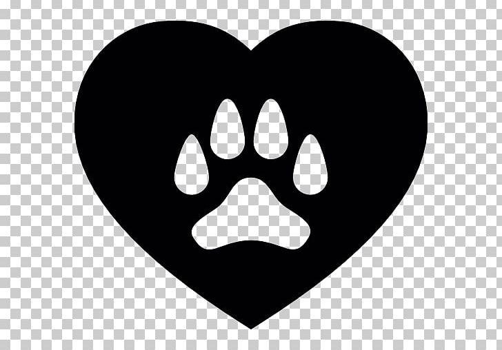 Dog Cat Paw Pet Bear PNG, Clipart, Animal, Animals, Animal Shelter, Animal Track, Bear Free PNG Download