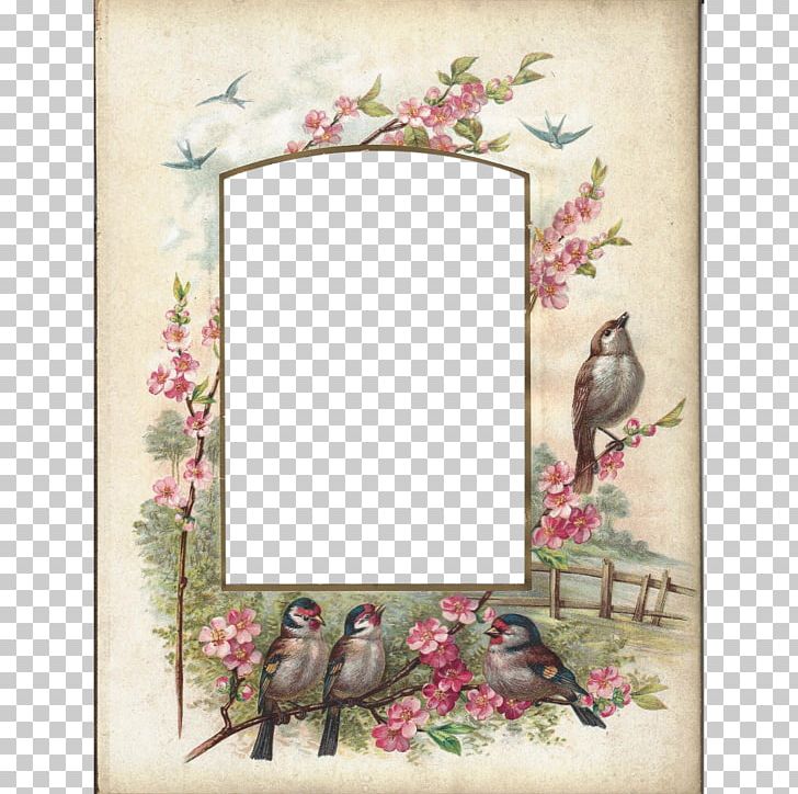 Frames Photo Albums Carte De Visite PNG, Clipart, Album, Art Museum, Birds Frame, Branch, Cabinet Card Free PNG Download